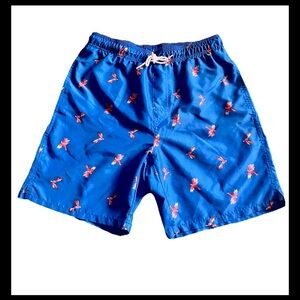 Old Navy Men's Parrot Blue Swim Trunks Size Small